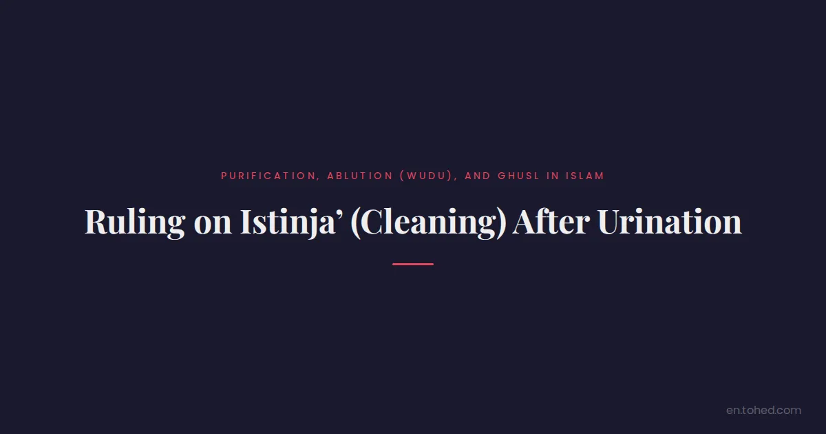 Ruling on Istinja’ (Cleaning) After Urination | Tohed